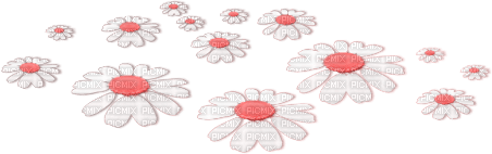 soave deco flowers scrap floor daisy white pink - 無料png