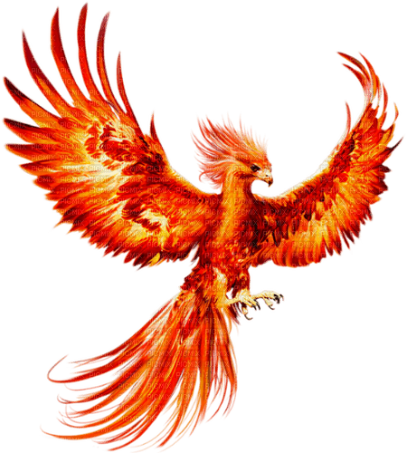 phoenix  by nataliplus - PNG gratuit