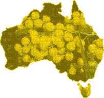 Australian native flowers bp - Bezmaksas animēts GIF