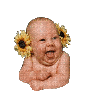 Cute Babies Free Download GIFs