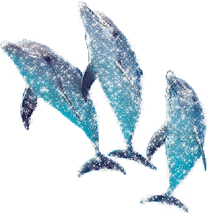 Gif scintillant dauphin - Бесплатный анимированный гифка