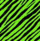 emo scene zebra - Gratis geanimeerde GIF