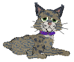 Petz Cat Laying Down - δωρεάν png