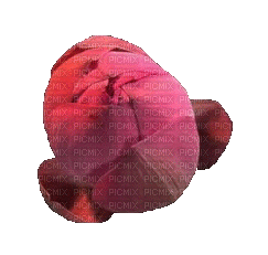 Nina flower - 無料のアニメーション GIF