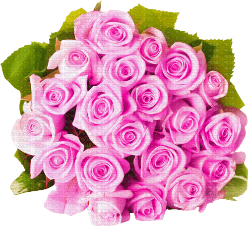 Y.A.M._Flowers bouquet of roses - PNG gratuit