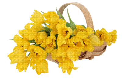 yellow flowers - ingyenes png