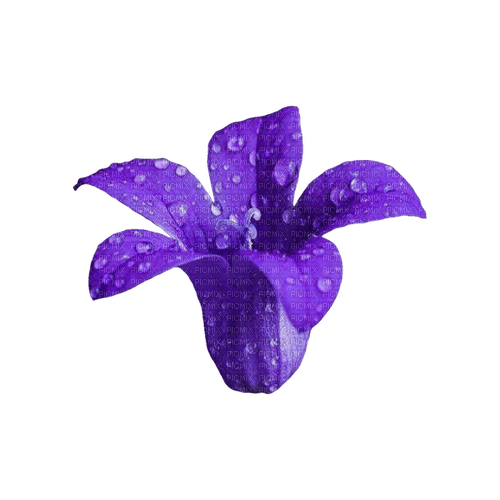 kikkapink deco scrap purple flower - zadarmo png