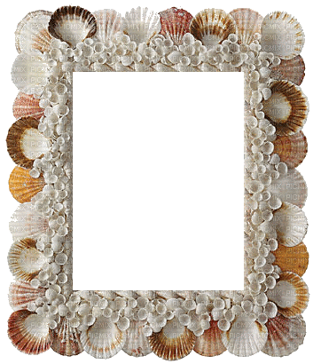 seashells - Безплатен анимиран GIF