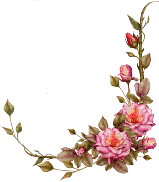 roses - zadarmo png