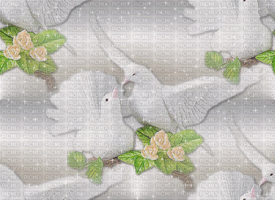 oiseau - Δωρεάν κινούμενο GIF