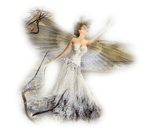 dolceluna woman angel - бесплатно png