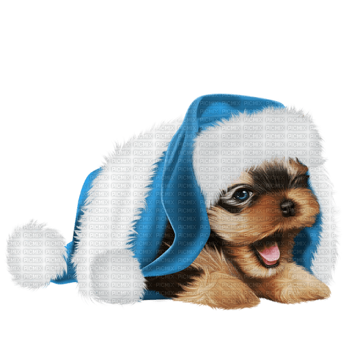 Christmas. Dog. Winter. Leila - ücretsiz png