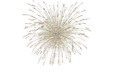 new year silvester fireworks - Бесплатный анимированный гифка