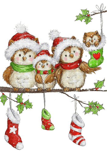 Christmas.Noël.Birds.Oiseaux.Victoriabea - ingyenes png