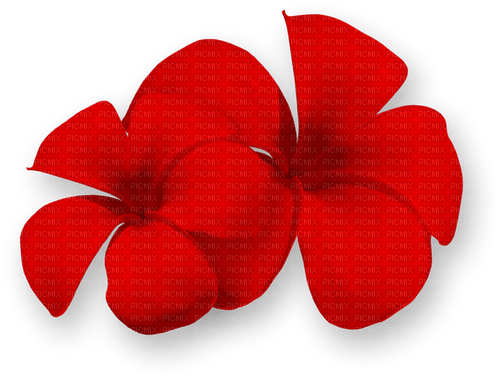 Flowers.Summer.Tropical.Red - png gratuito