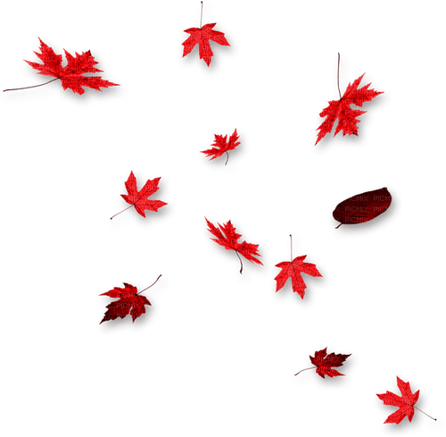 Leaves.Red - png gratis