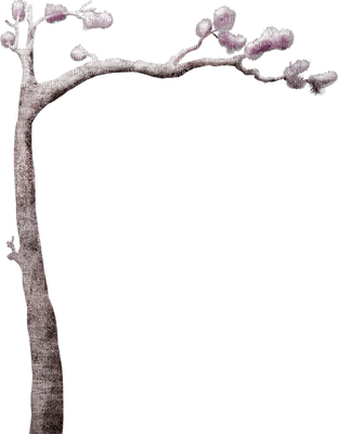 tree anastasia - png gratis