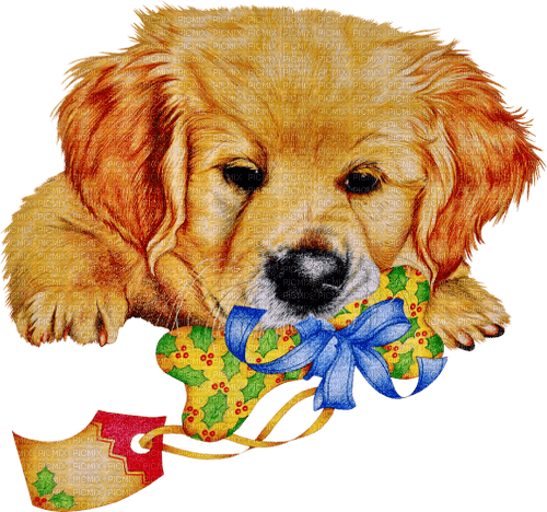 sm3 dog christmas puppy cute red image png - Free PNG