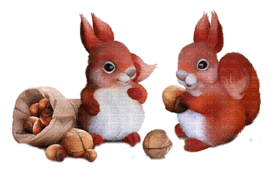 autumn squirrel Automne ecureuil - PNG gratuit