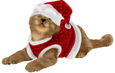 Chrismascat - 無料のアニメーション GIF