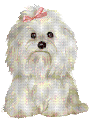 Hond - Gratis geanimeerde GIF