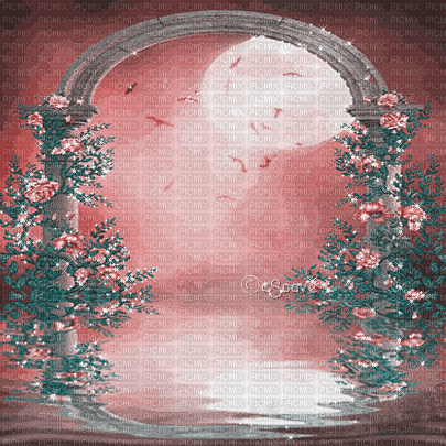 soave background animated flowers rose night - Δωρεάν κινούμενο GIF