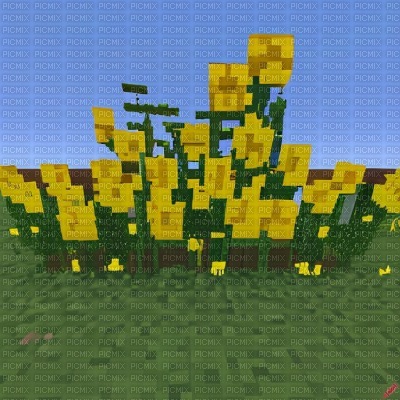 Minecraft - Yellow Flowers - besplatni png