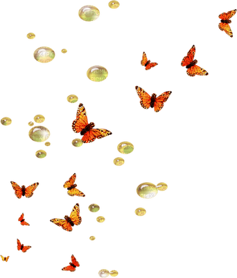 papillon orange.Cheyenne63 - фрее пнг