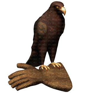 eagle - Nemokamas animacinis gif