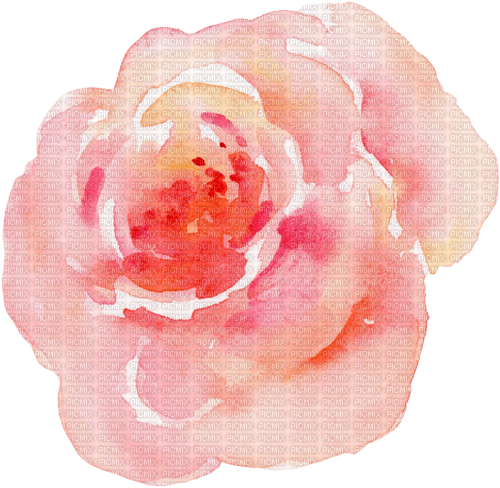 Watercolor Rose - PNG gratuit