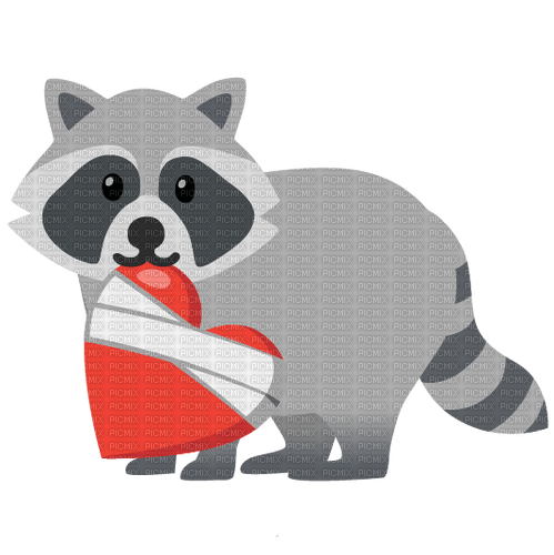 raccoon heart - бесплатно png