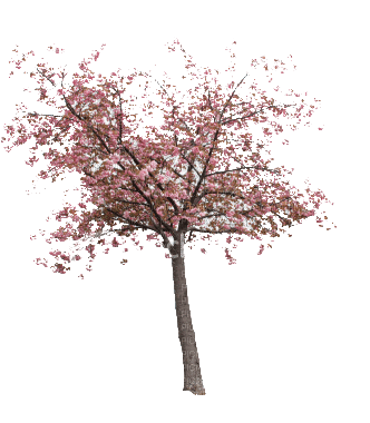 pink tree - 無料png