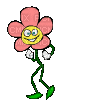 Цветок танцует - Бесплатный анимированный гифка