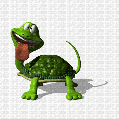 tortue - Darmowy animowany GIF
