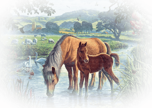 loly33 cheval - bezmaksas png