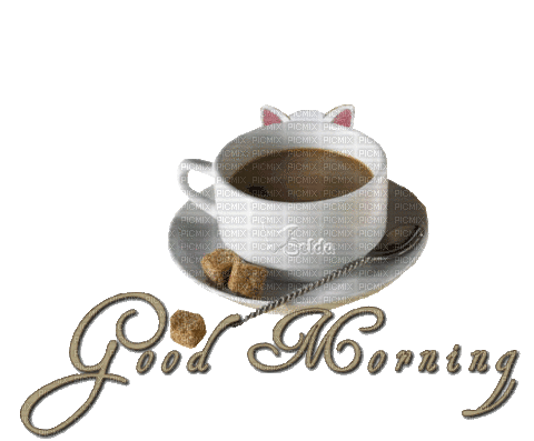 MMarcia gif cat good morning bom dia coffee - Δωρεάν κινούμενο GIF