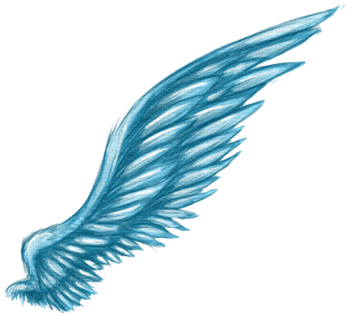 blue wings - bezmaksas png