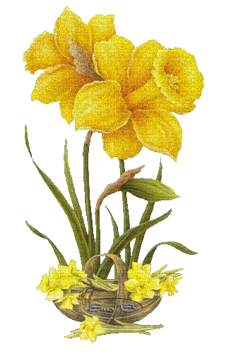 MMarcia gif flores fleurs flowers glitter - Besplatni animirani GIF
