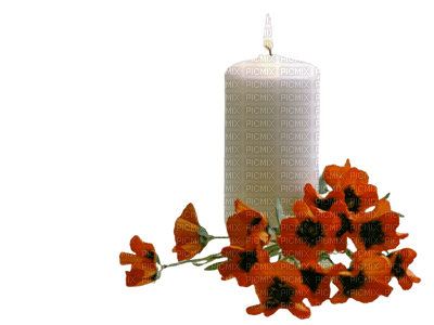 Candle and flowers - kostenlos png