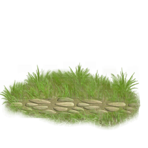 Herbe Roche:) - Free PNG