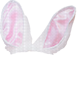 bunny ears (created with gimp) - Kostenlose animierte GIFs