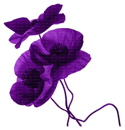 Blue DREAM  70 _ flowers_poppies - 免费PNG