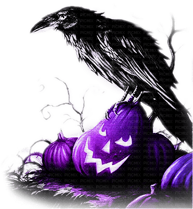 soave deco bird halloween pumpkin black - ücretsiz png