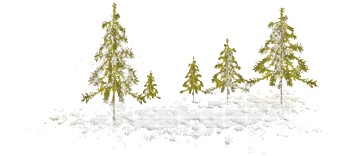 Snow trees - Gratis animerad GIF