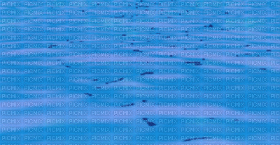 Wasser - 無料のアニメーション GIF