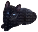 cat katze chat animal halloween gothic - png gratuito