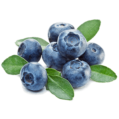 blueberries bp - ingyenes png
