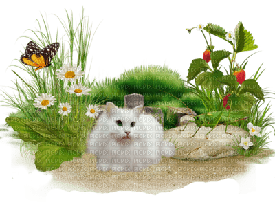 garden two katrin - 免费PNG