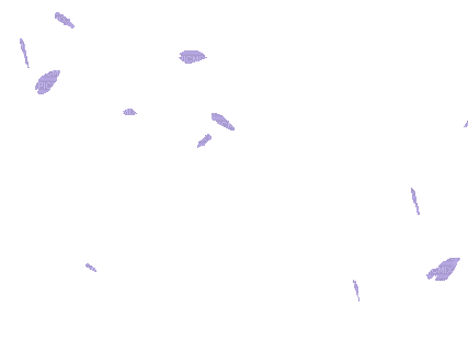 soave deco animated petals purple - Ingyenes animált GIF