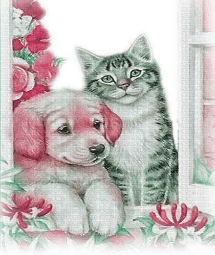 soave dog cat animals friends windows flowers - фрее пнг